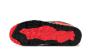 Air Max 90 Infrared
