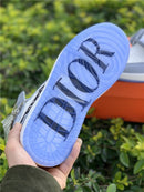 1 Retro High Dior