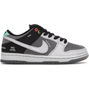 SB Dunk Low Vx1000