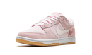 Dunk Low Teddy Bear