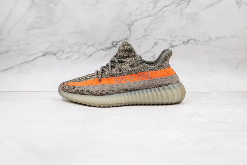 350 V2 Beluga