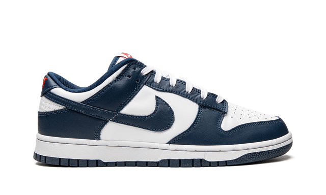 Dunk Low Valerian Blue