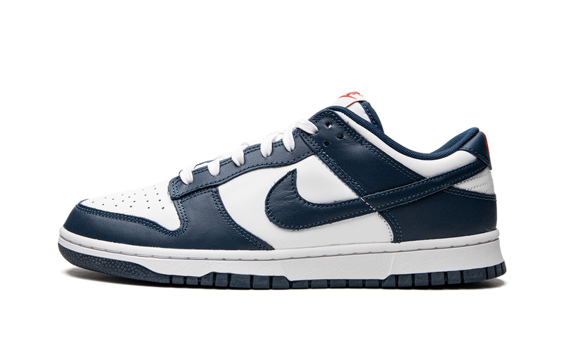 Dunk Low Valerian Blue